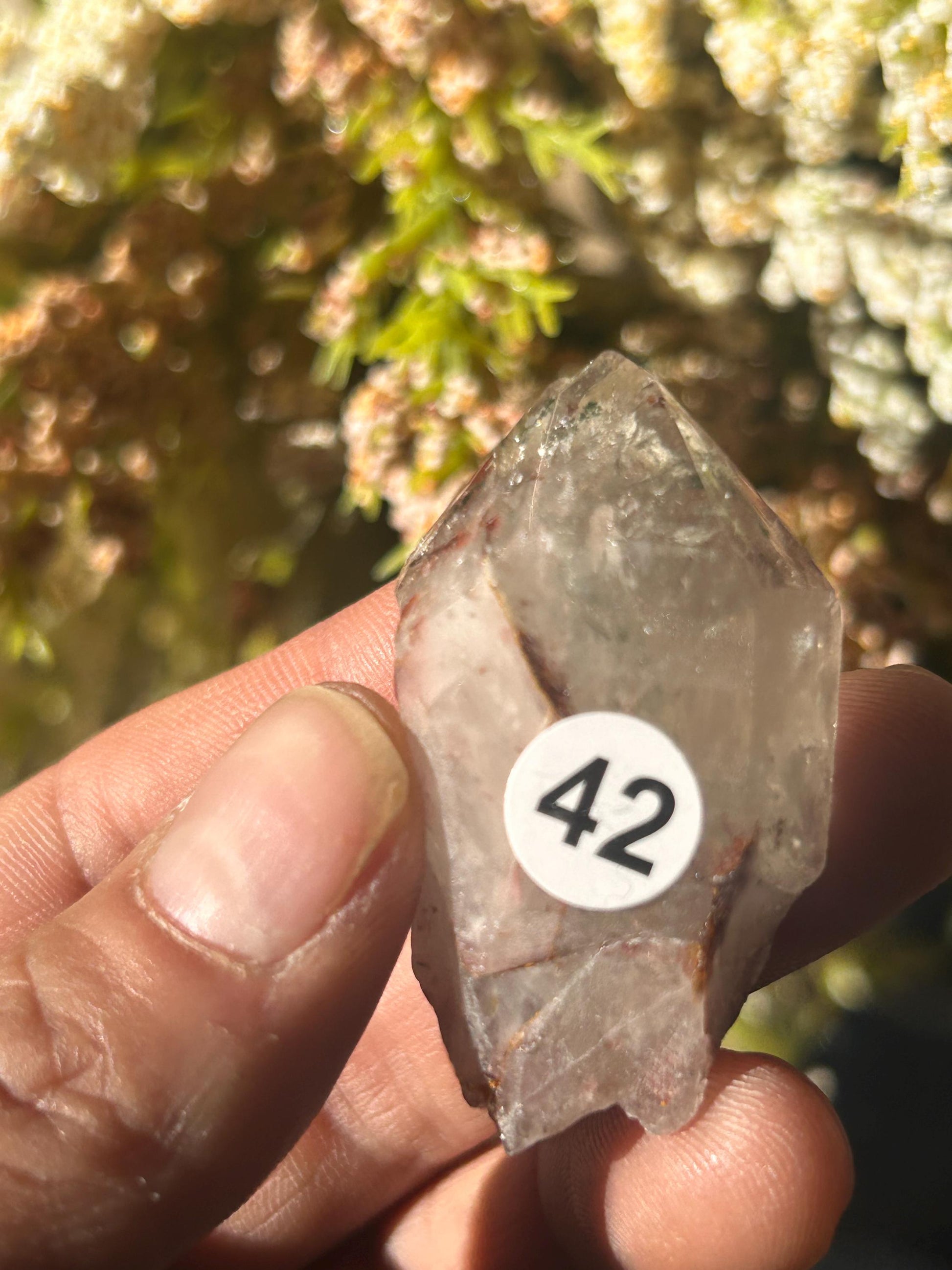 Lemurian Quartz w\ Lodolite Quartz Raw Point | Garden Lemurian Quartz | Shamanic Lemurian Quartz | Scenic Lemurian| Natural Healing Crystal-Raw Crystal Specimens-Lemurian, Quartz, Lodolite