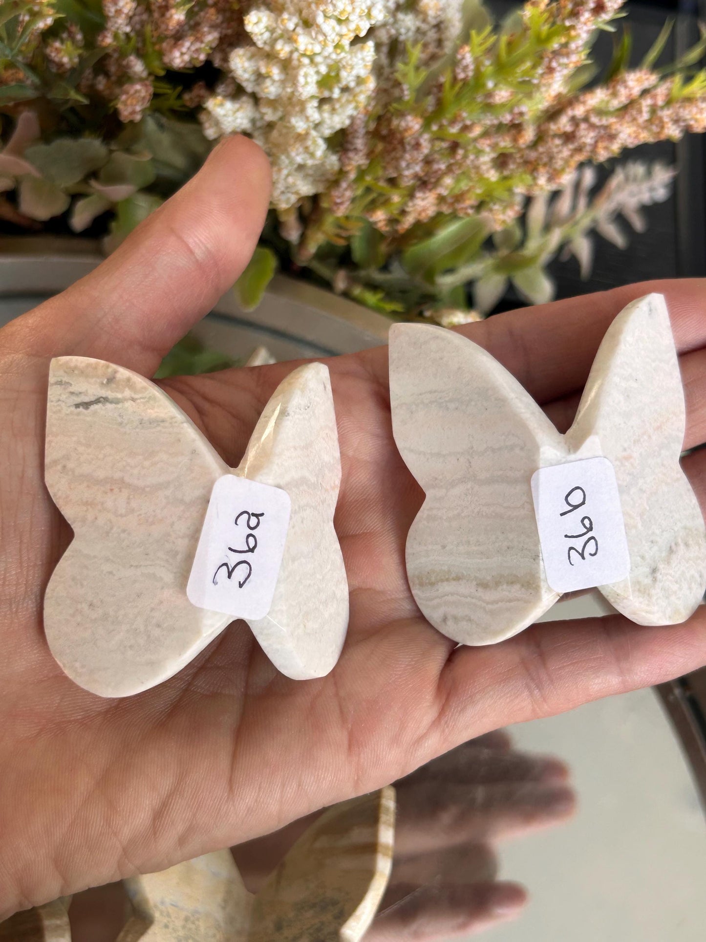 Green Sardonyx 3D Butterfly