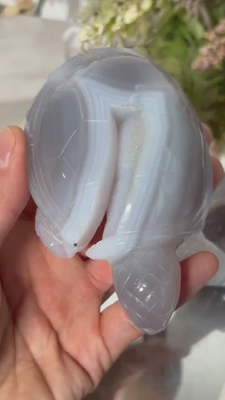 Druzy Agate Turtle Carving | Druzy Quartz Agate Animal Carving