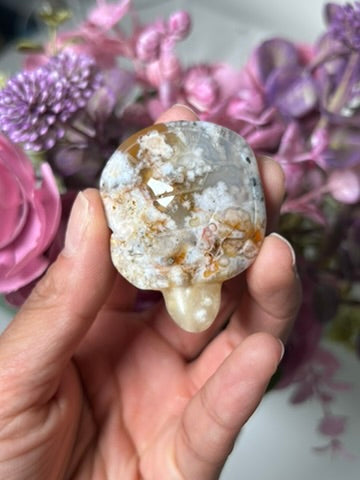 Flower Agate Turtle 21
