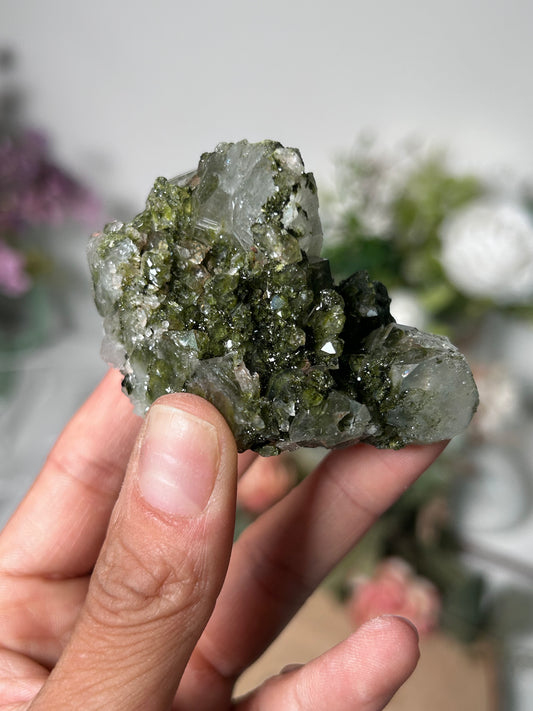 Forest Fairy Epidote on Quartz 77