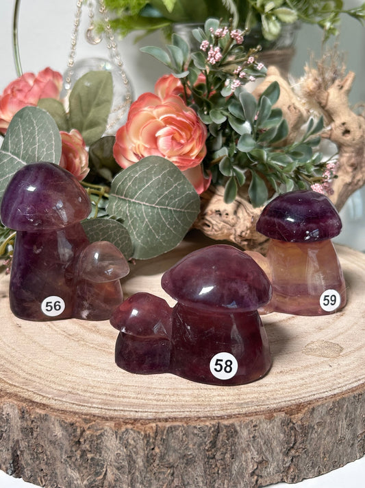Candy Fluorite Mushroom Clusters