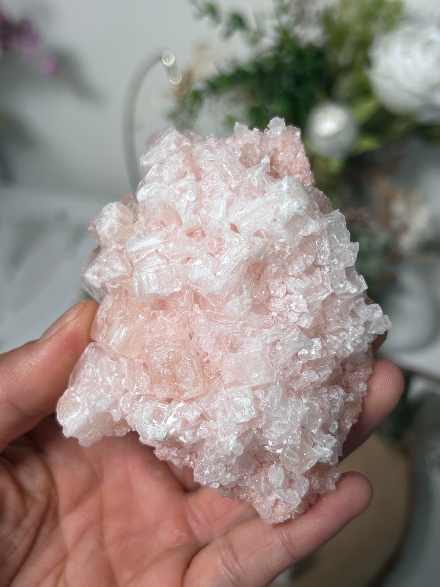 Pink Halite