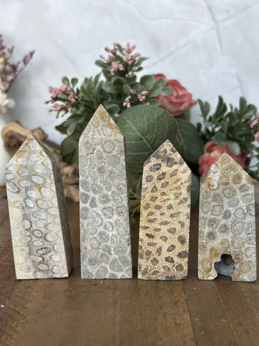 Coral Towers