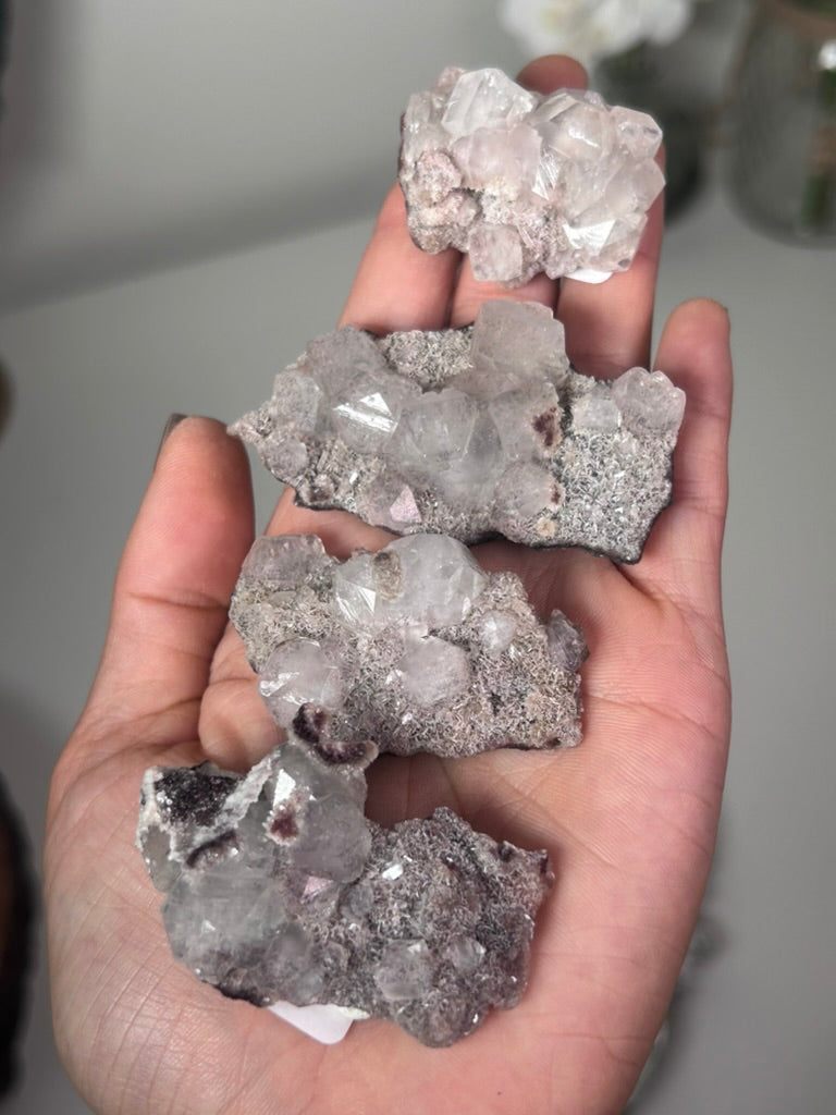 Maroon Marshy Apophyllite on Pink Chalcedony 8