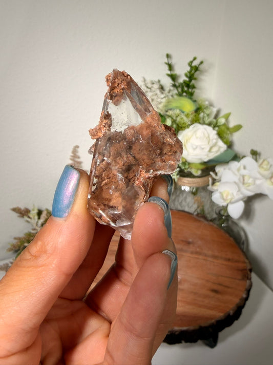 Bermejilo Selenite 35