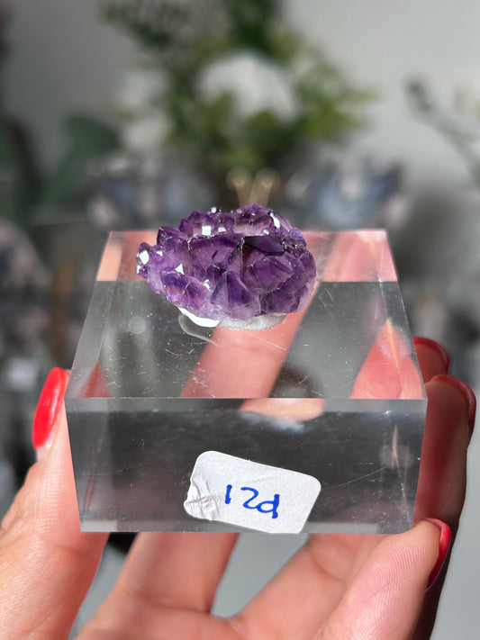 Amethyst Elestial with Red Hematite 12d