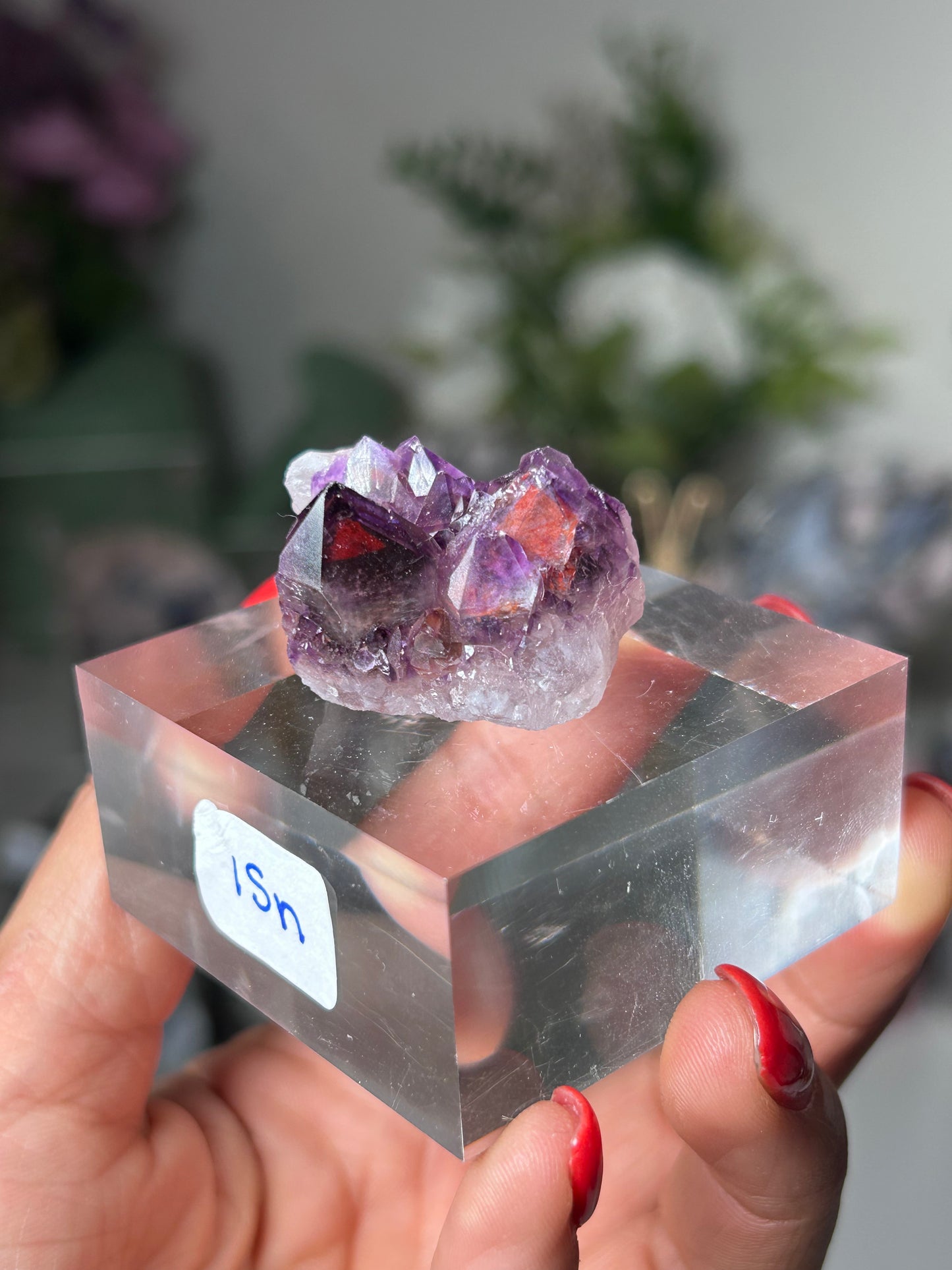 Amethyst Elestial with Red Hematite 15n