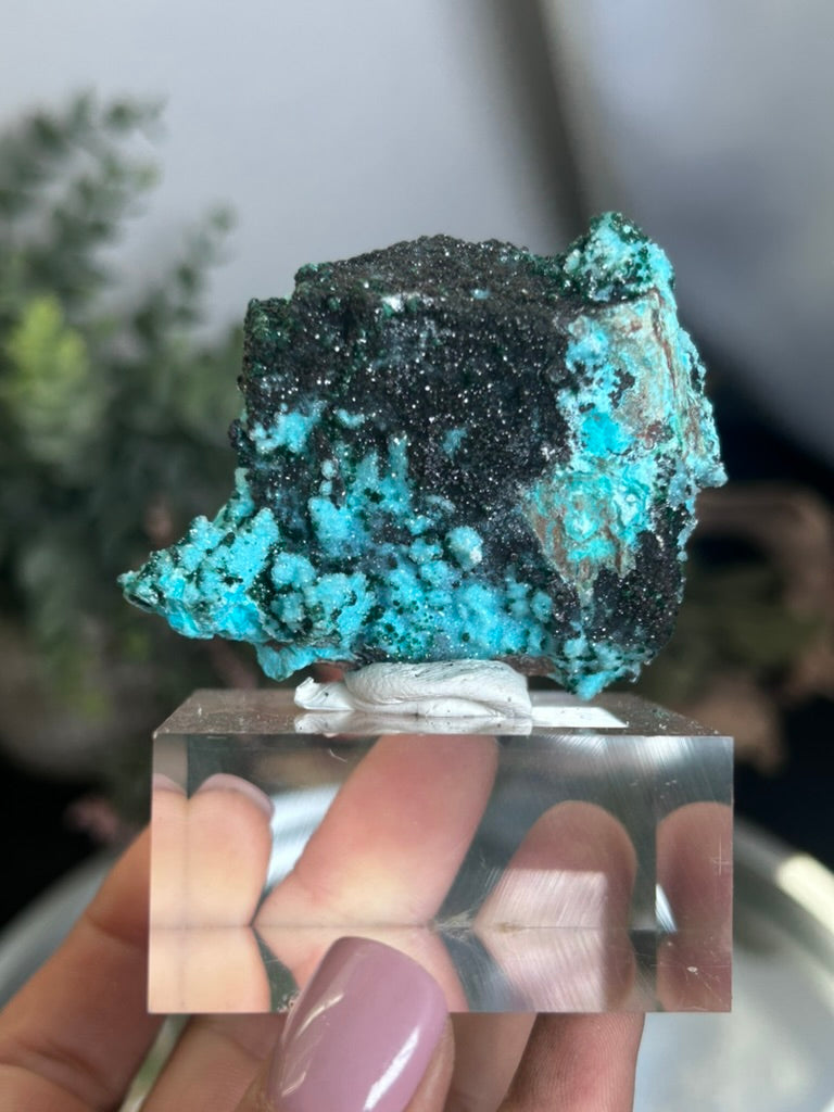 Druzy Chrysocolla Malachite 64
