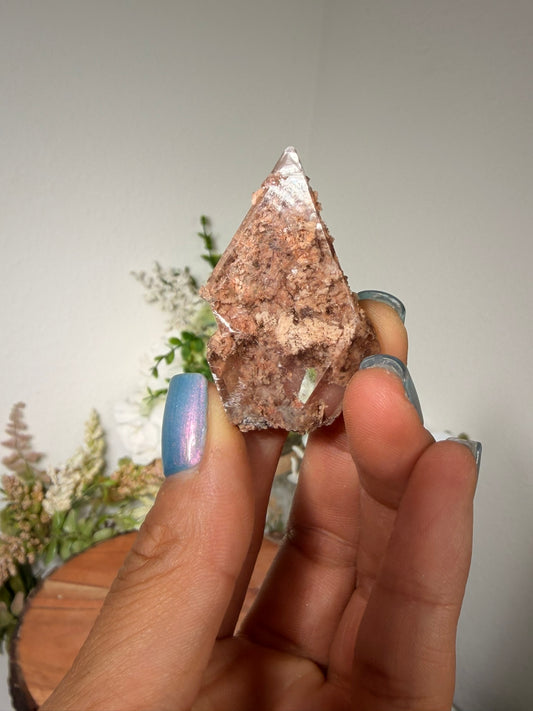 Bermejilo Selenite 28