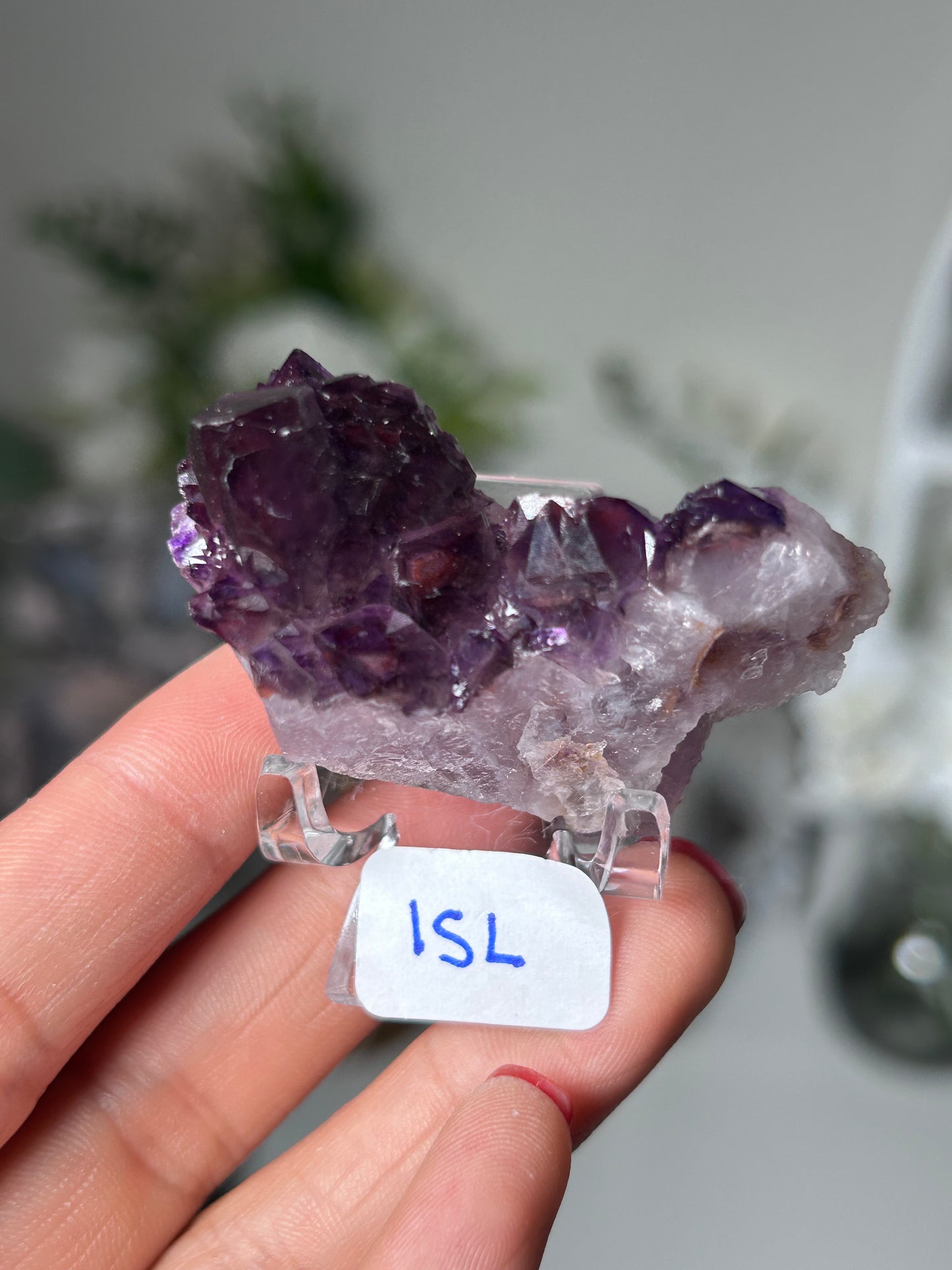 Amethyst Elestial with Red Hematite 15L