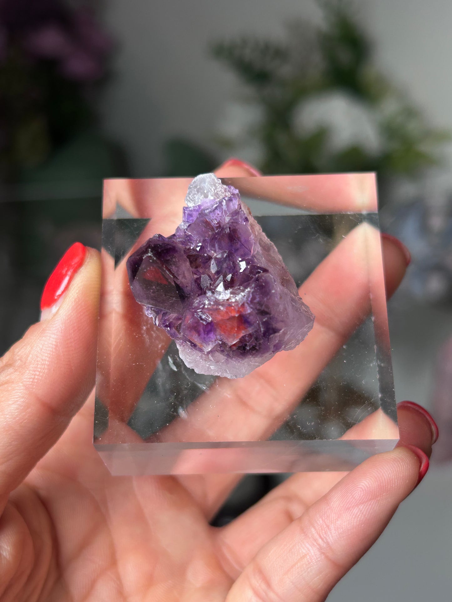 Amethyst Elestial with Red Hematite 15n