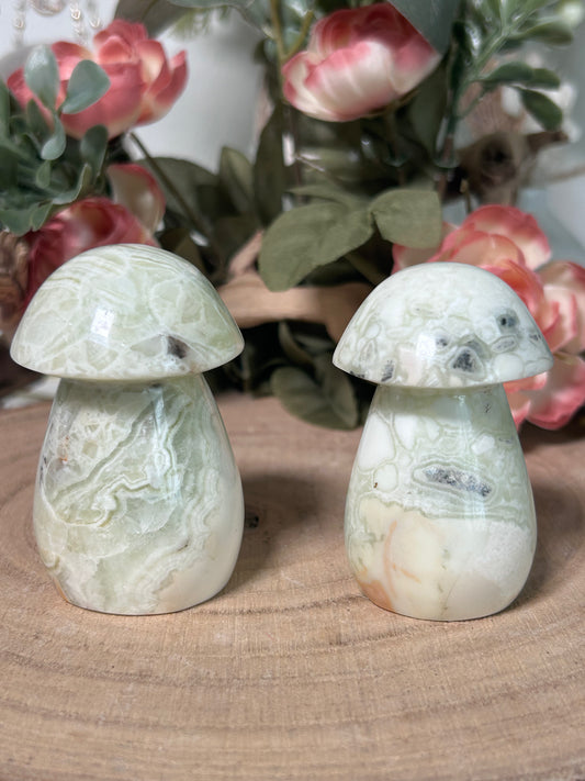 Indonesian Green Maligano Jasper Mushroom 35, 44