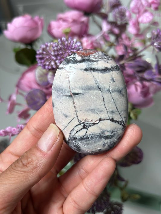 Porcelain Jasper From Mexico Palm Stone 25