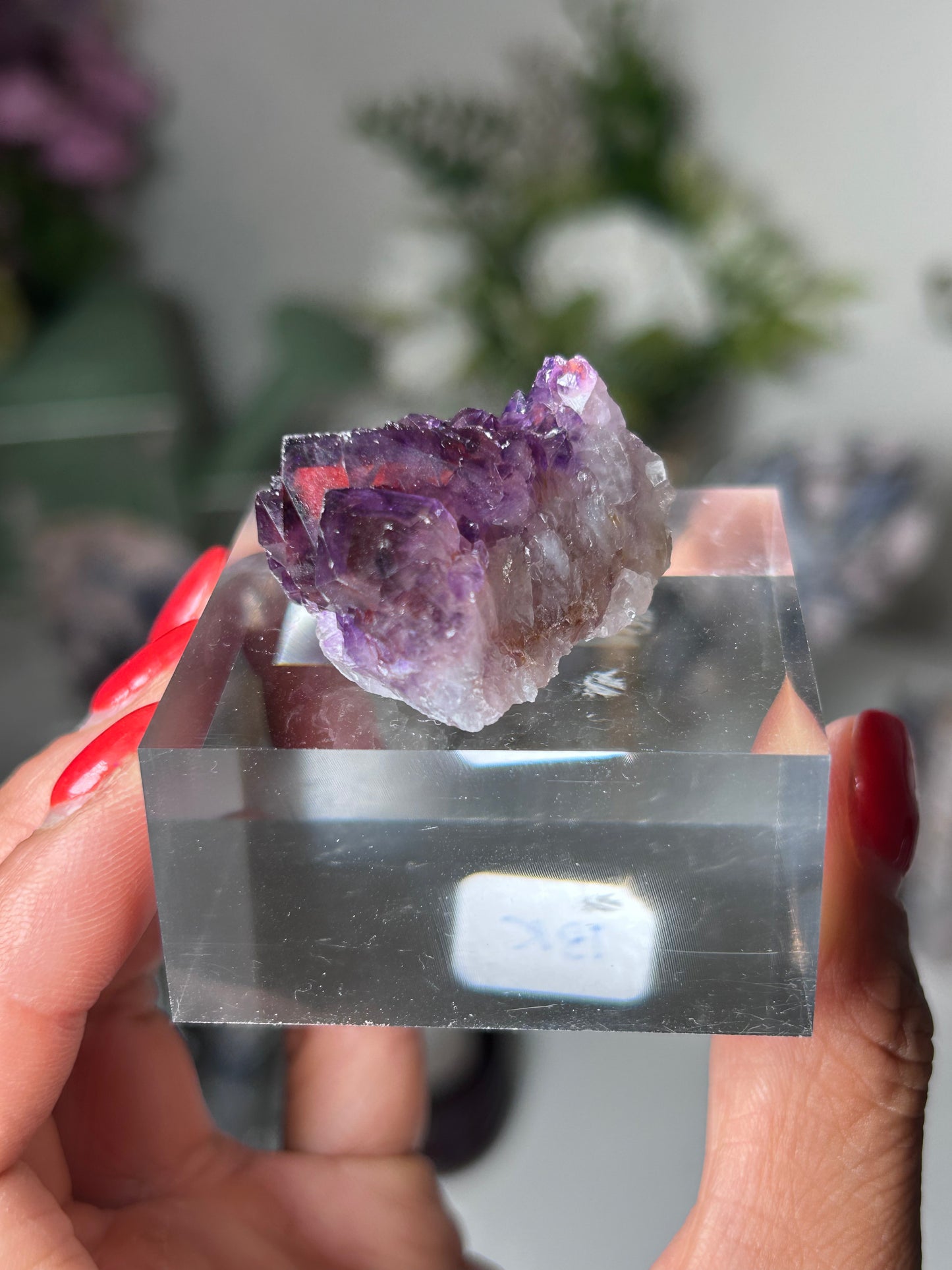 Amethyst Elestial with Red Hematite 13K