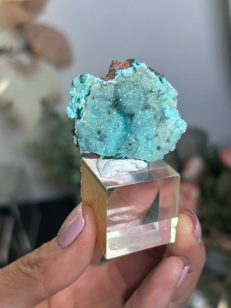 Druzy Chrysocolla Malachite 41