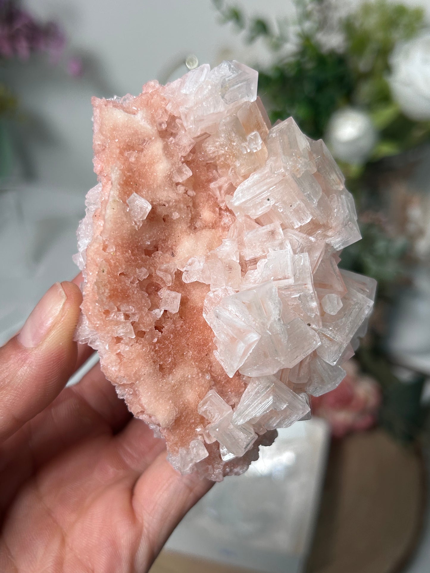 Pink Halite