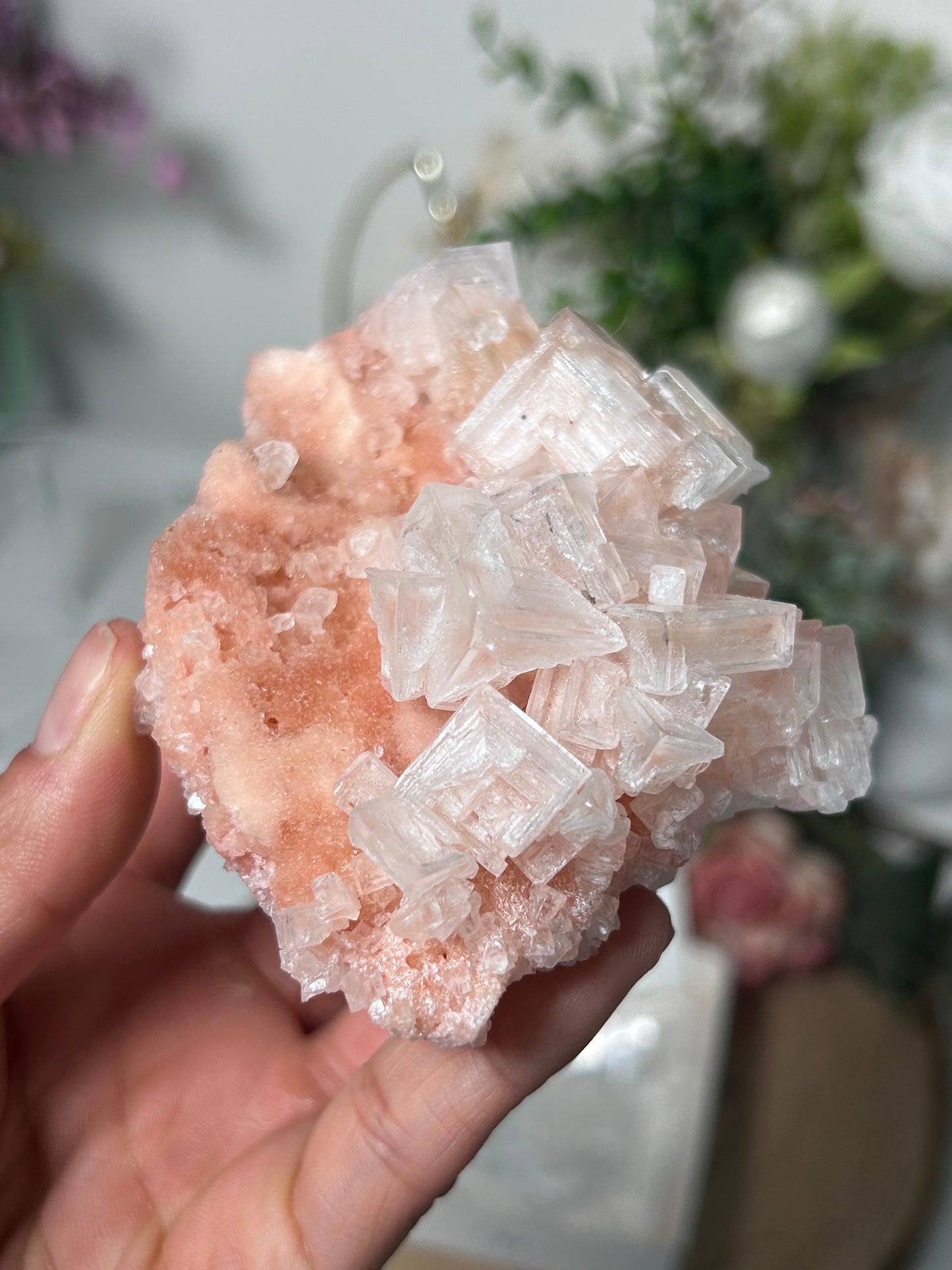 Pink Halite
