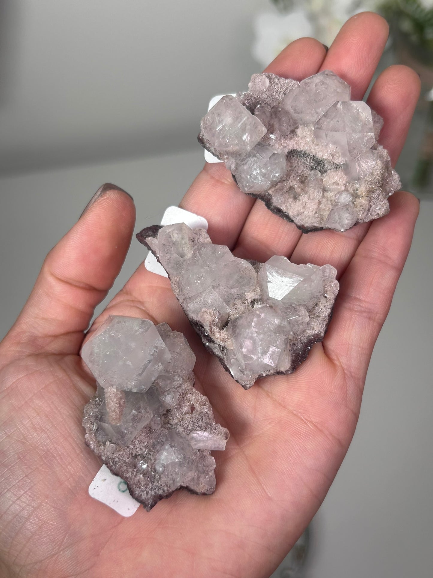Maroon Marshy Apophyllite on Pink Chalcedony 9