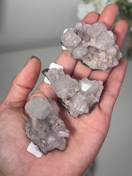 Maroon Marshy Apophyllite on Pink Chalcedony 9