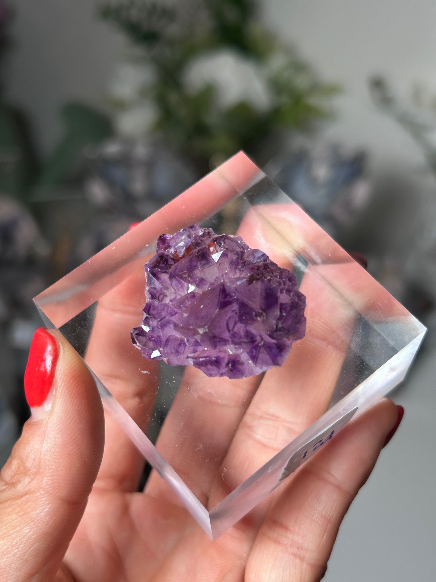 Amethyst Elestial with Red Hematite 12d