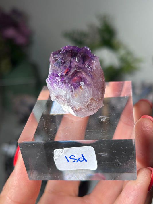 Amethyst Elestial with Red Hematite 15d