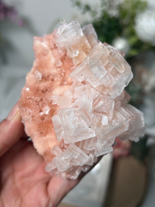 Pink Halite