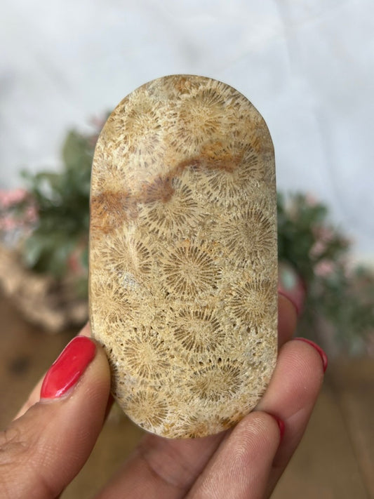 Coral Palm 21n
