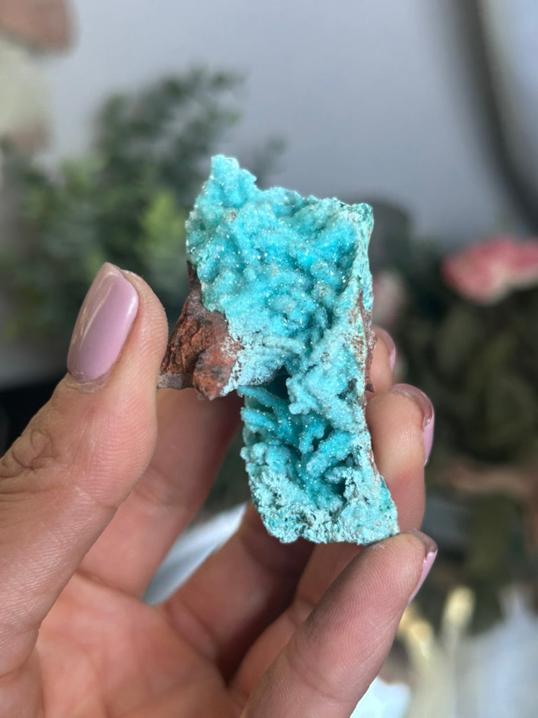 Druzy Chrysocolla Malachite 62