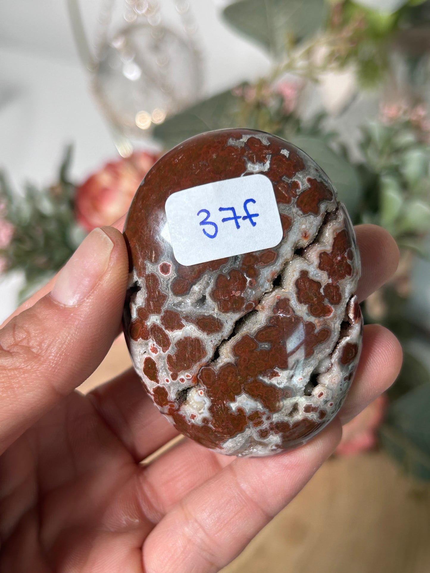 Indonesian Red Ocean Jasper 37f
