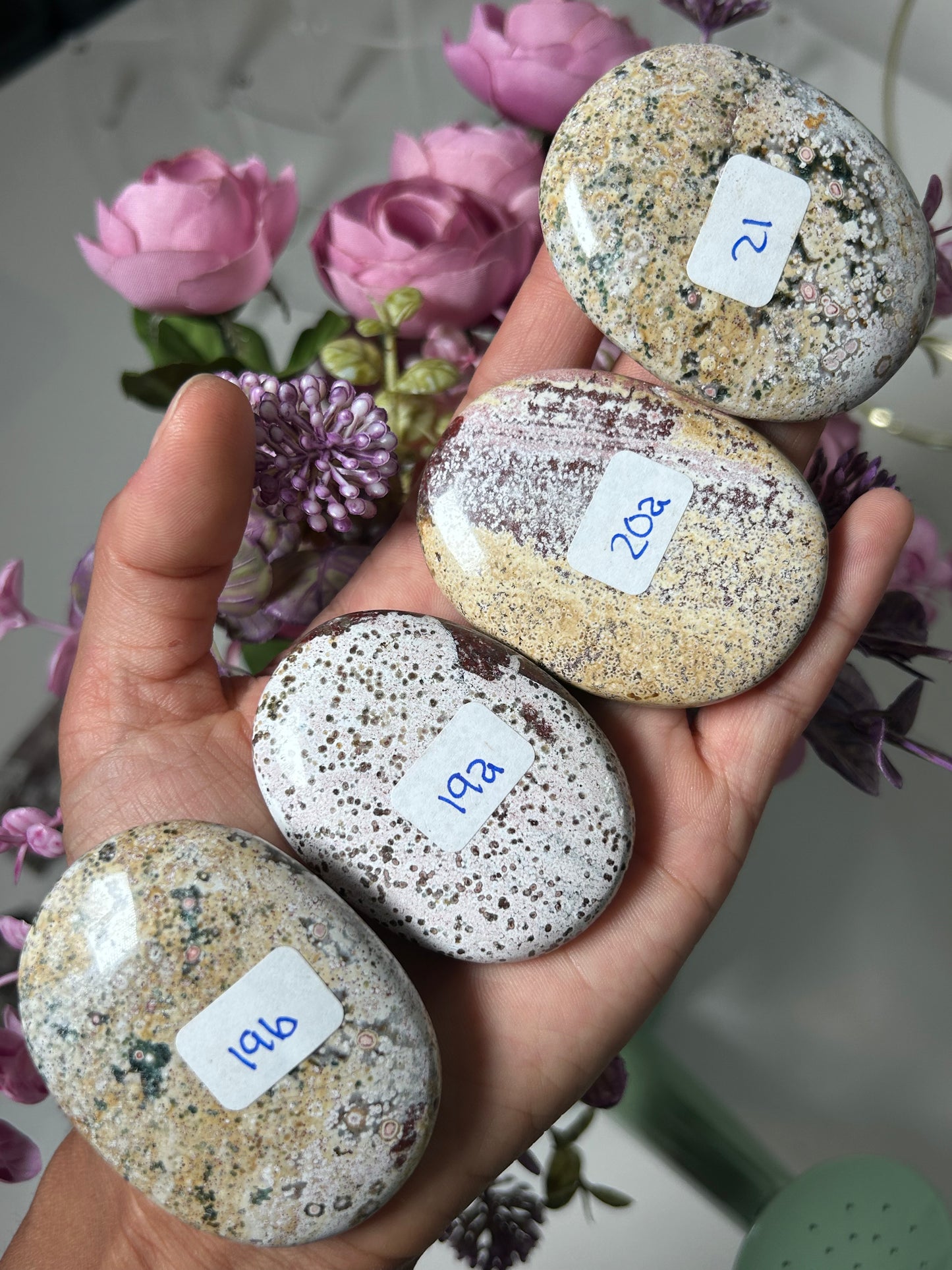 Sea Jasper Palm Stones From India 19b, 19a, 20a, 21