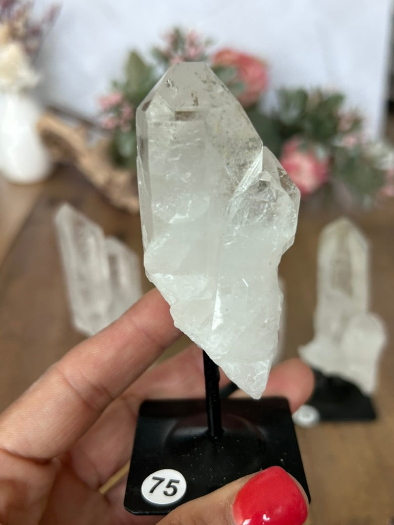 Twin Quartz On Stand 75, 76, 77, 78