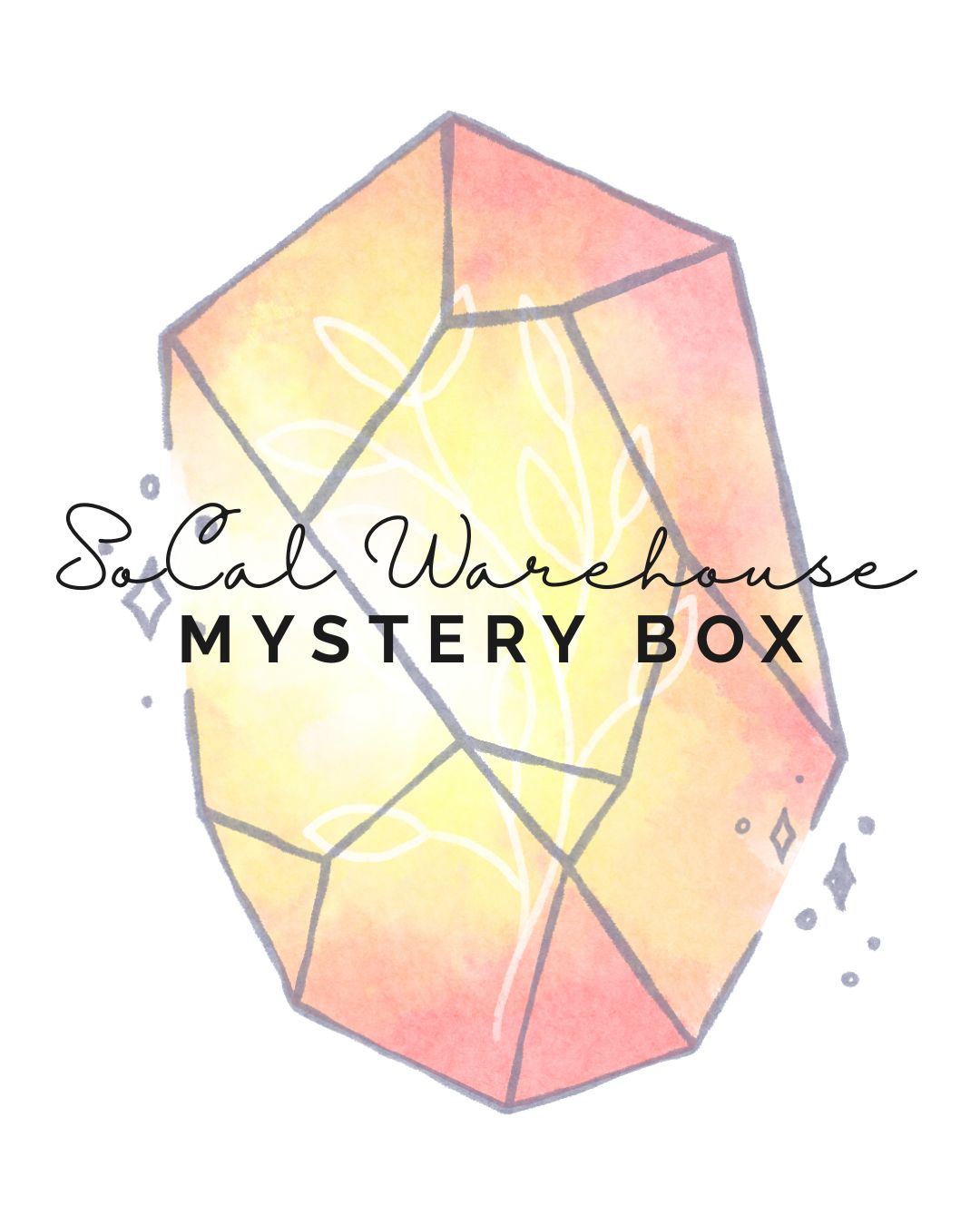 SoCal Warehouse Show Mystery Box