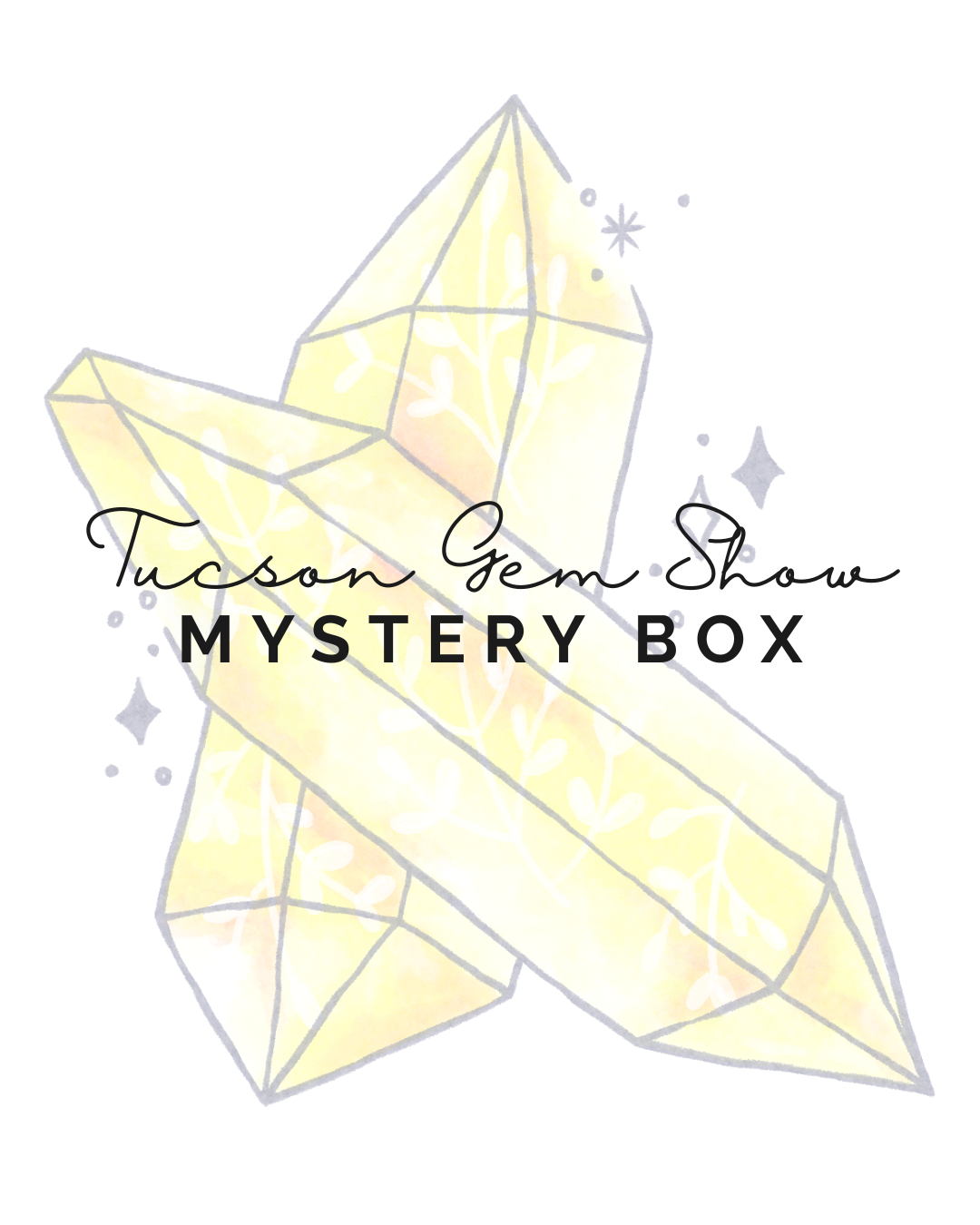 Shopping Tucson Gem Show Mystery Box PREORDER