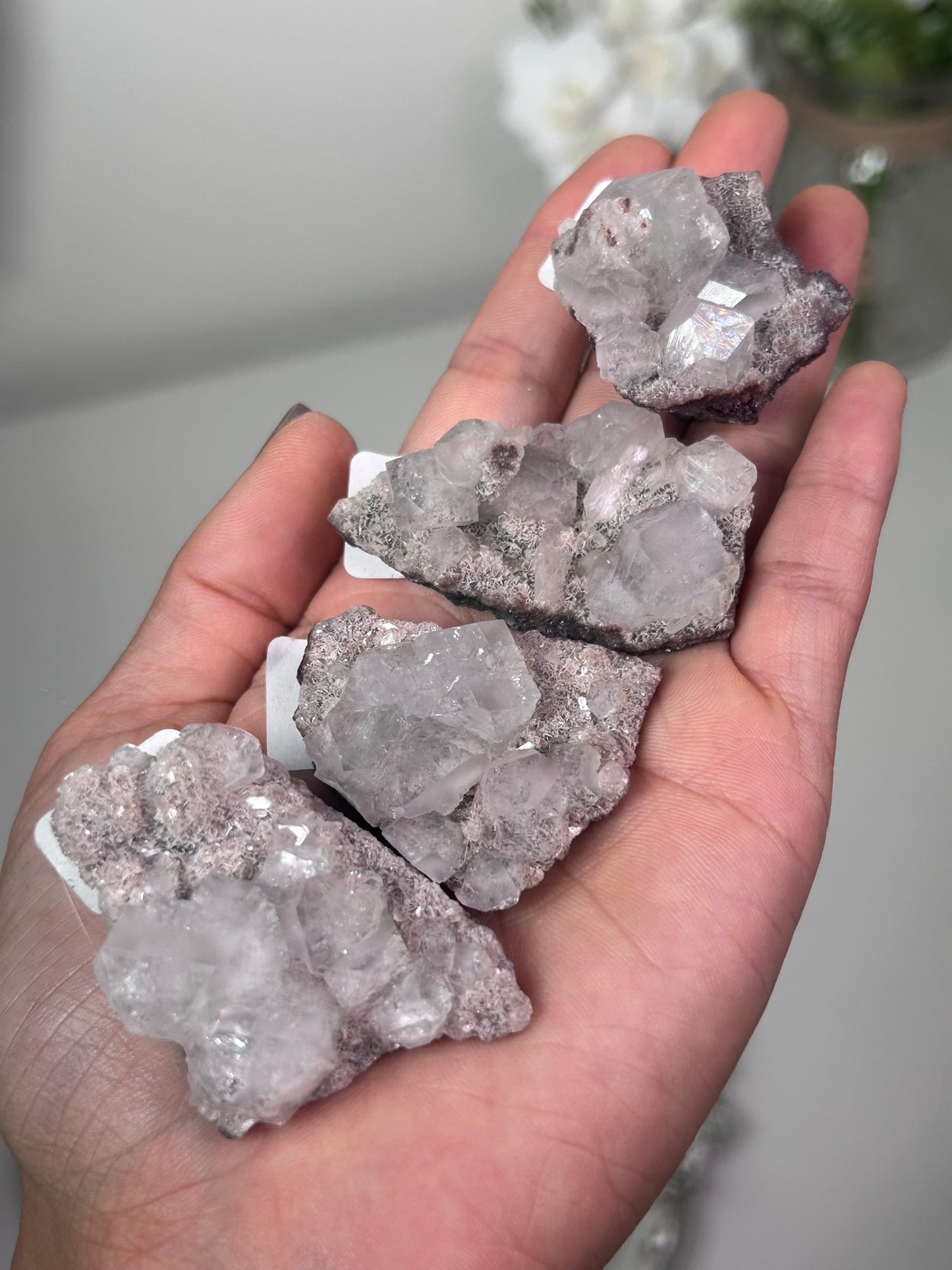 Maroon Marshy Apophyllite on Pink Chalcedony 6