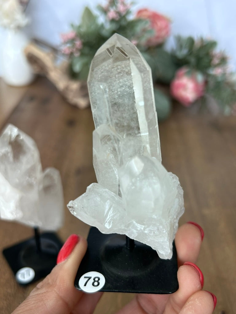 Twin Quartz On Stand 75, 76, 77, 78