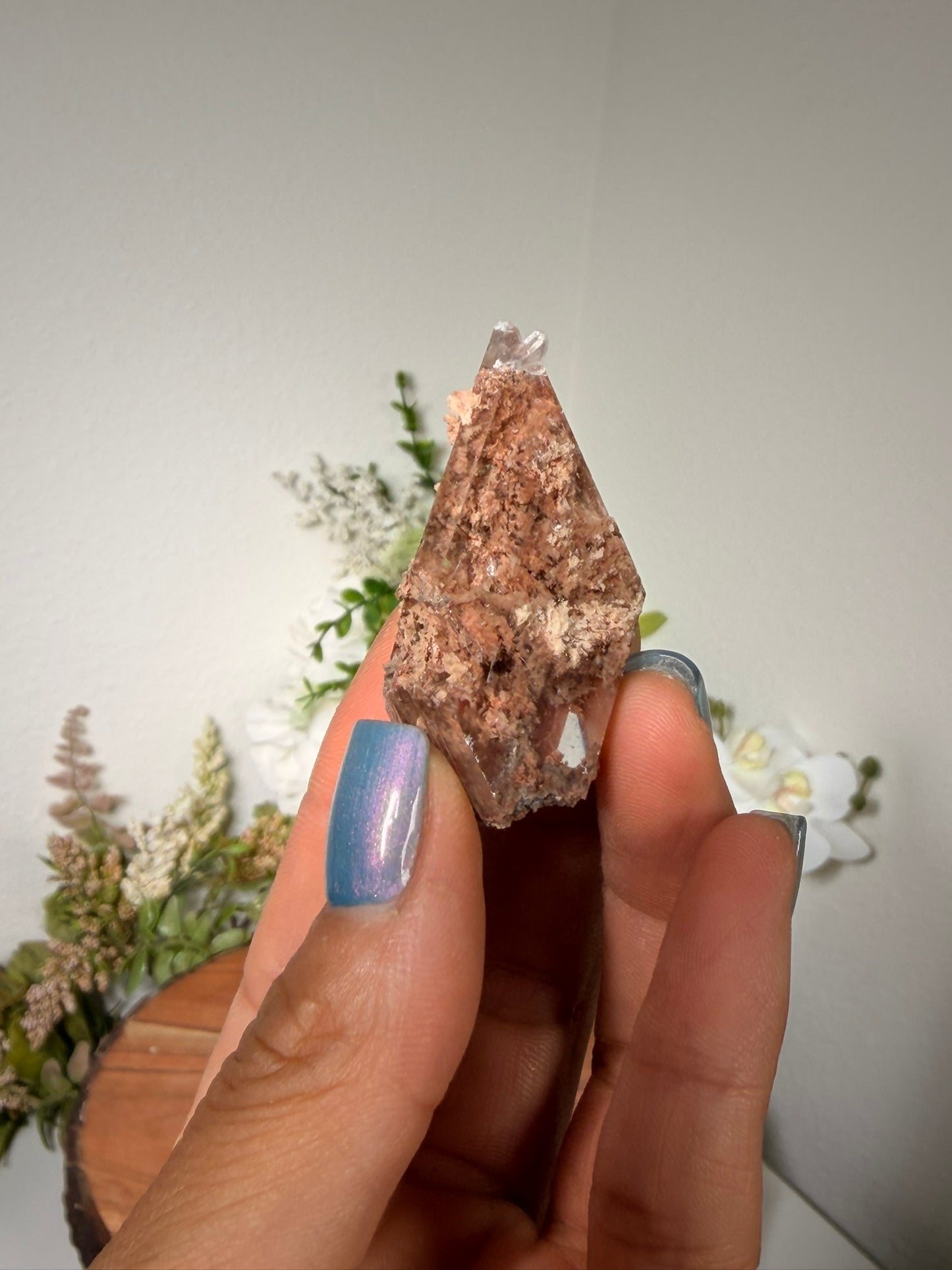 Bermejilo Selenite 28