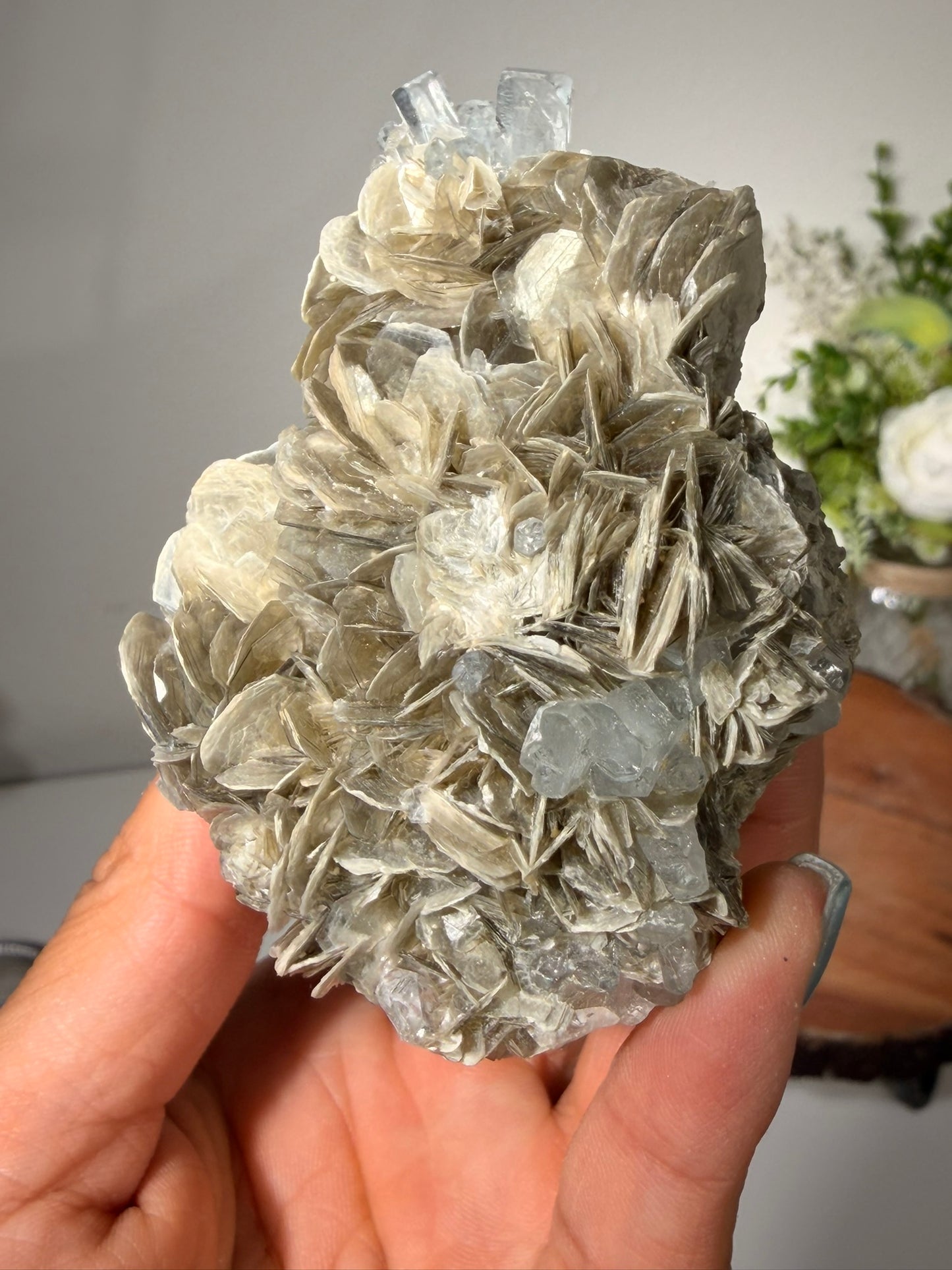Himalayan Aquamarine on Muscovite 380