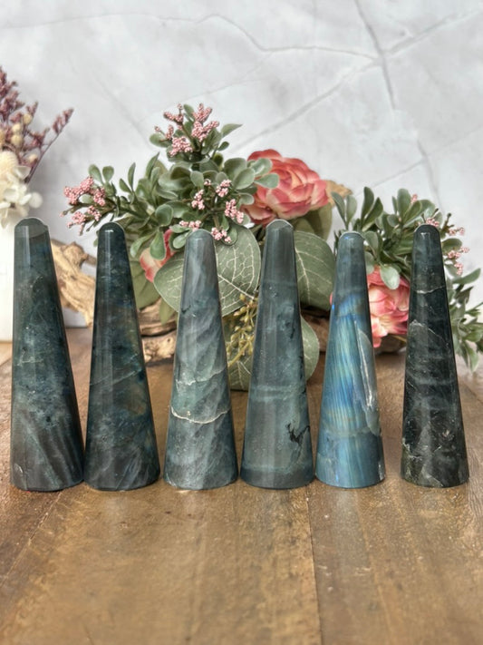 Lab Ring Holders