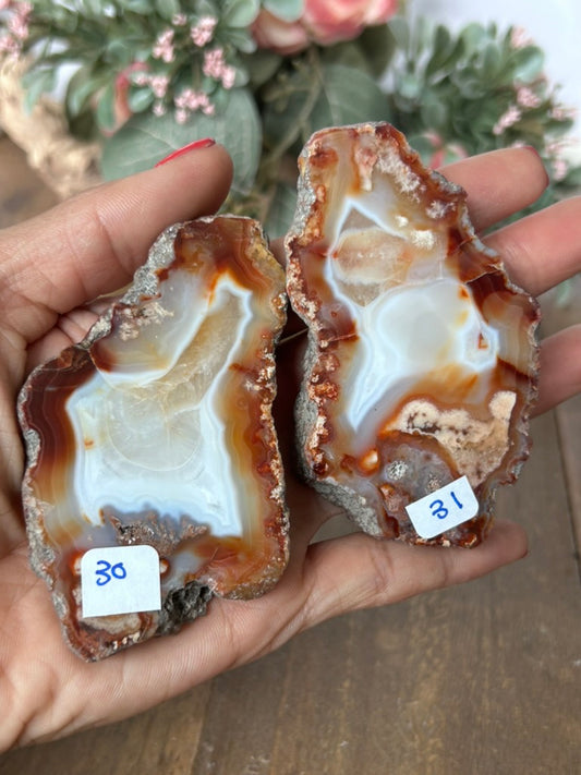 Indonesian Carnelian Slices