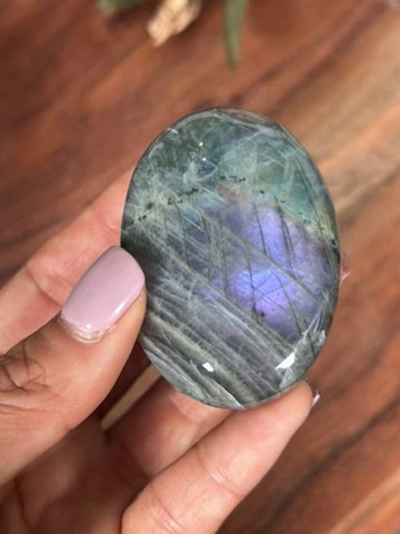 Labradorite Palm 31a