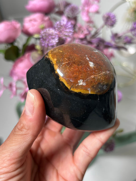 Shiva Eye Agate 83