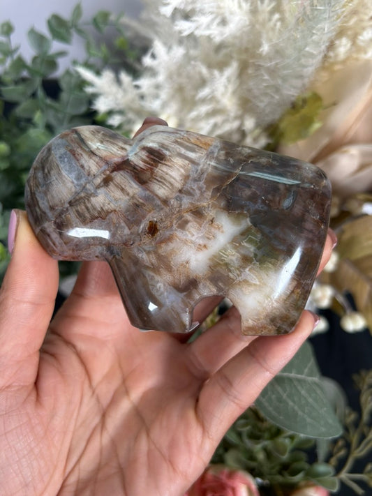 Petrified Wood Buffalo 52