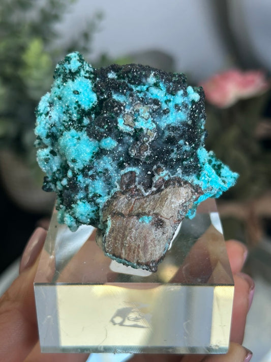 Druzy Chrysocolla Malachite 64