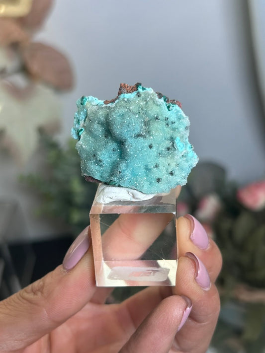 Druzy Chrysocolla Malachite 41