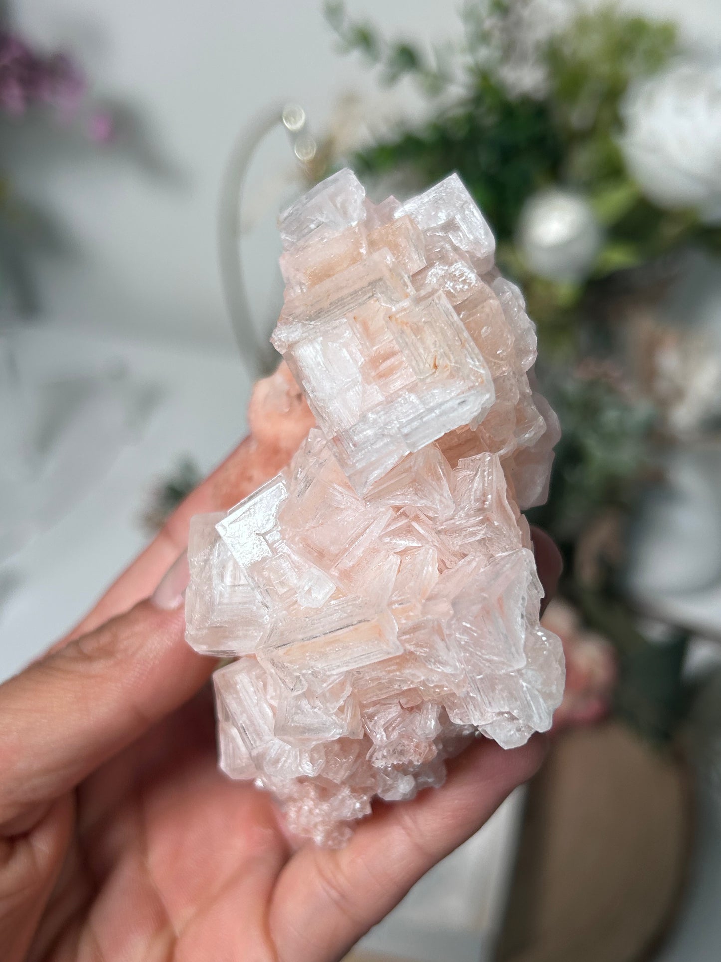 Pink Halite