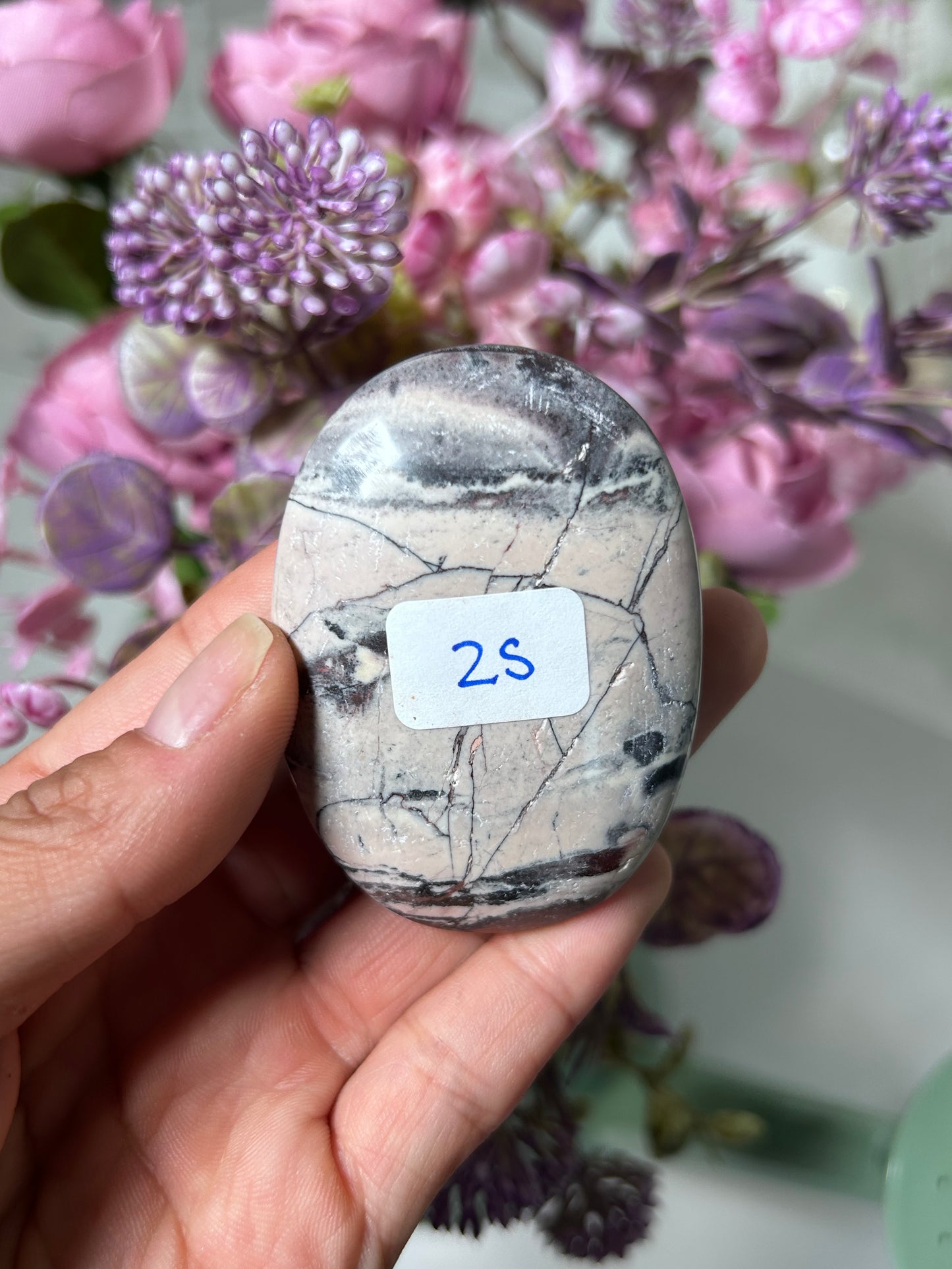 Porcelain Jasper From Mexico Palm Stone 25