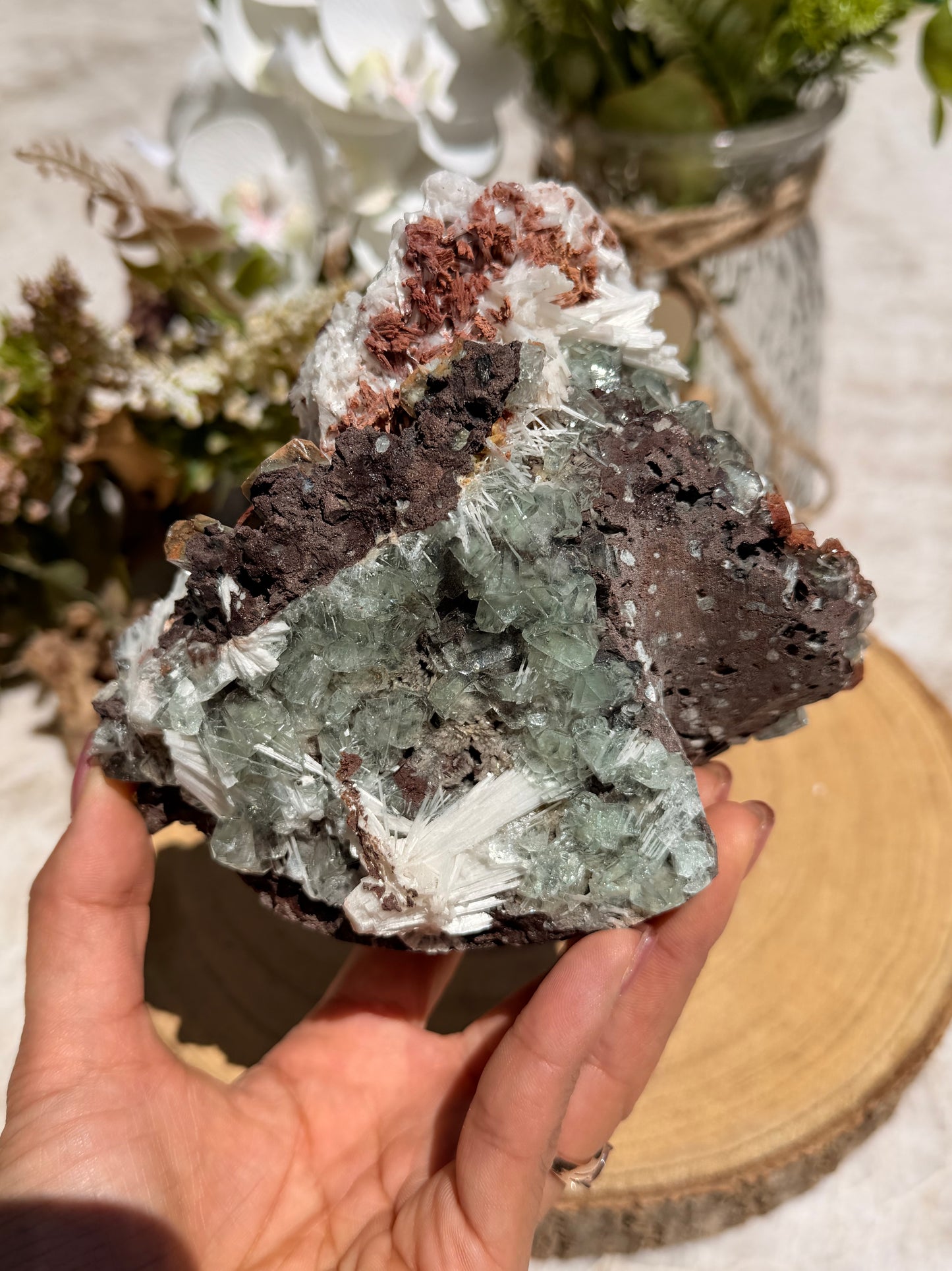 Disco Marshy Apophyllite 260b