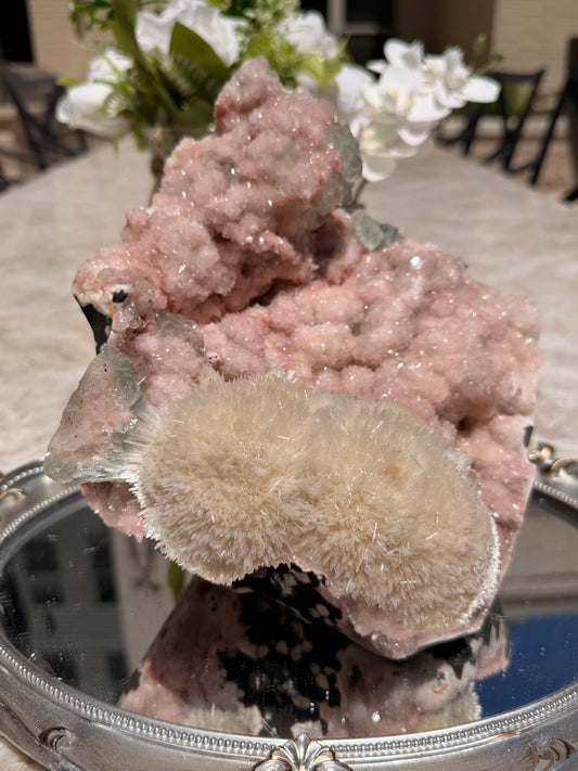 "Watermelon Mojito" Statement 635