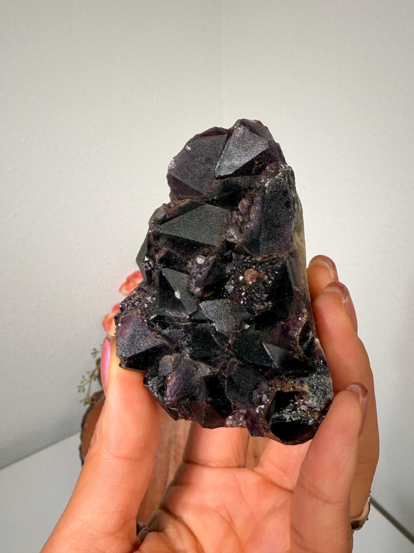 Alien Amethyst 70